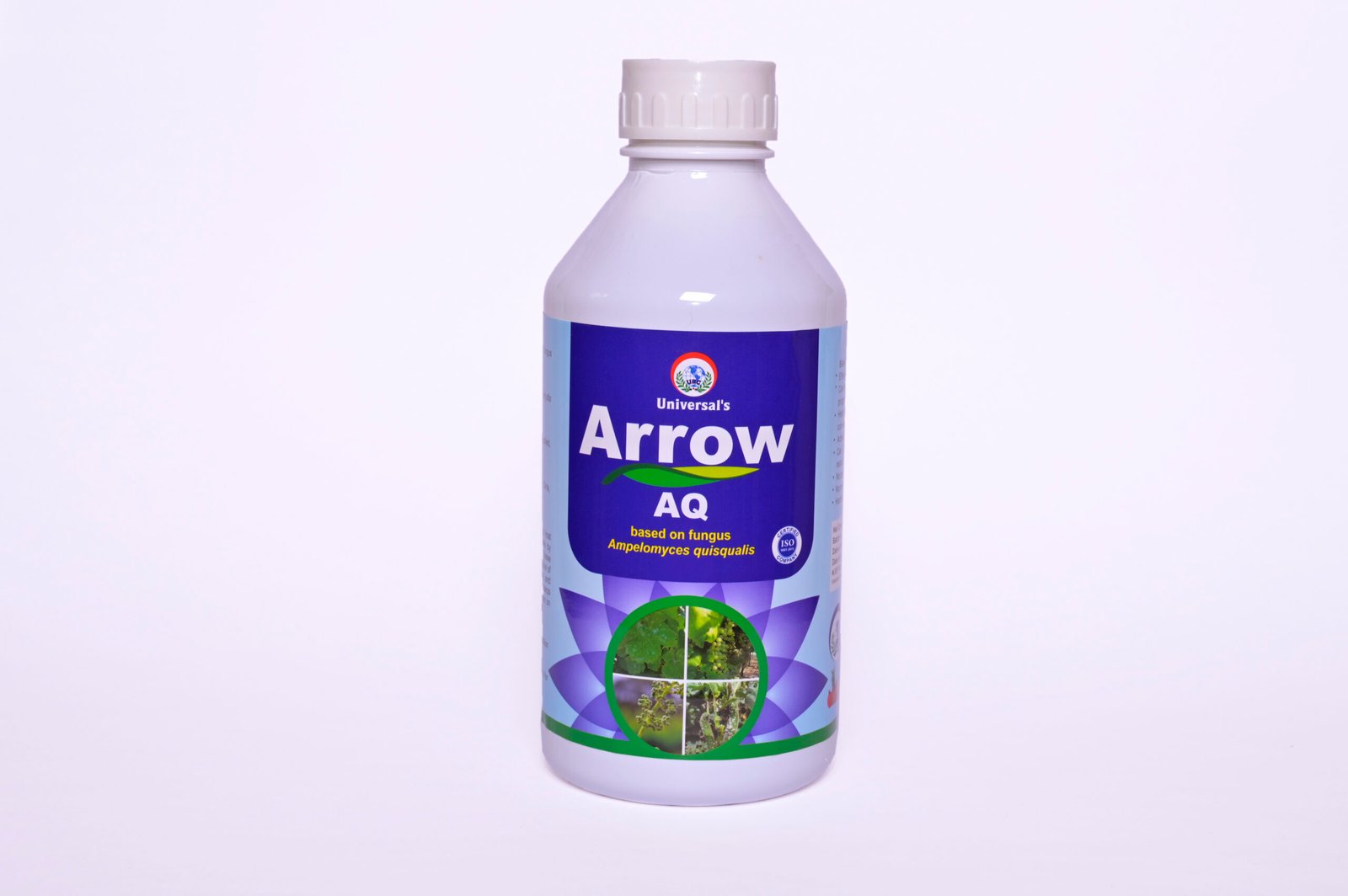 Arrow AQ Ampelomyces quisqualis biofungicide