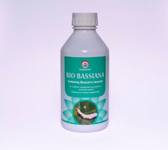 Bio Bassiana (Beaveria bassiana)
