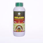 Delcon Multifunctional Fungicide for effective protection of all agricultural crops