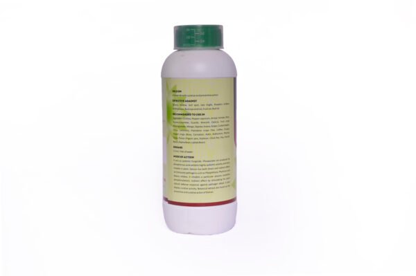 Delcon Multifunctional Fungicide for effective protection of all agricultural crops
