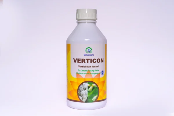 Verticon (Verticillium lecanii) मऊशरीर असणाऱ्या किडी नियंत्रणासाठी- पिठ्या ढेकुण,पांढरी माशी, लोकरी मावा, तुडतुडे, फुलकिडे