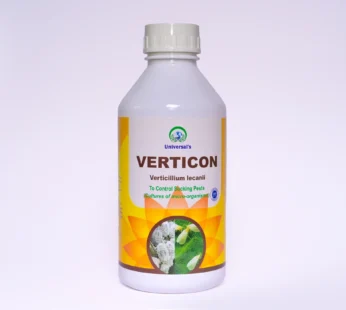 Verticon (Verticillium lecanii) मऊशरीर असणाऱ्या किडी नियंत्रणासाठी- पिठ्या ढेकुण,पांढरी माशी, लोकरी मावा, तुडतुडे, फुलकिडे