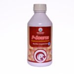 P Source phosphorus solubilizing bacteria and bio fertilizer for crops